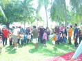 Tn DSC 0705